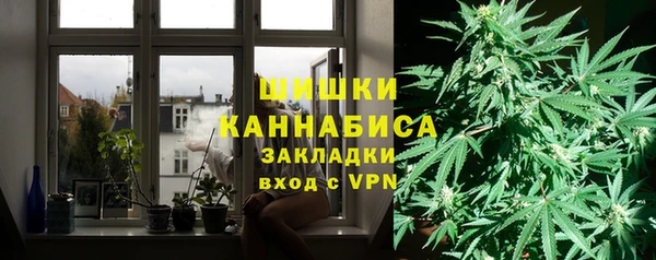 ГАЛЛЮЦИНОГЕННЫЕ ГРИБЫ Абдулино