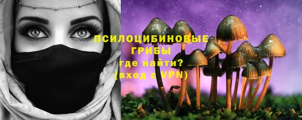 ГАЛЛЮЦИНОГЕННЫЕ ГРИБЫ Абдулино