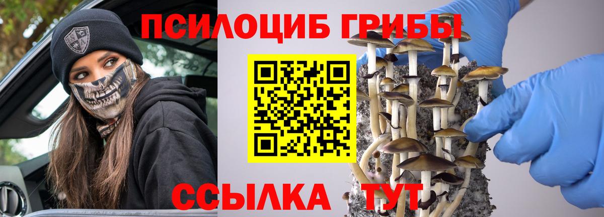 Галлюциногенные грибы Cubensis  Вход с VPN  Боровичи 
